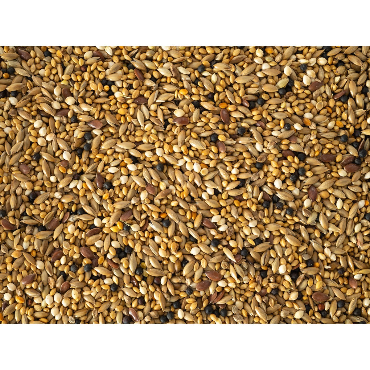 Topflite Finch Mix