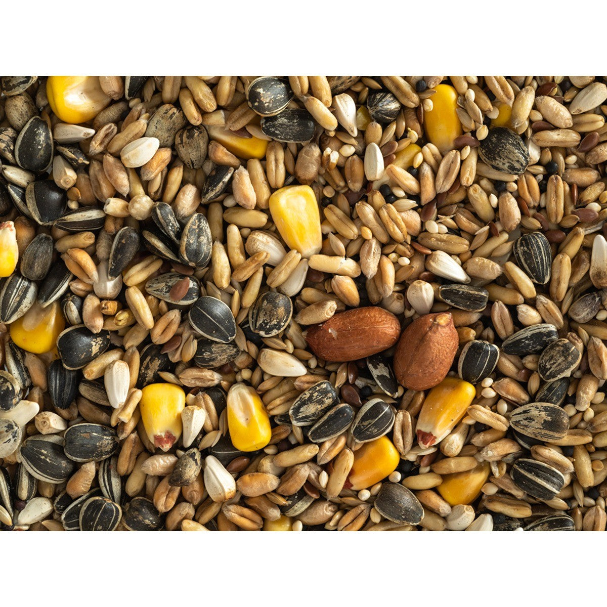 Topflite Parrot Mix