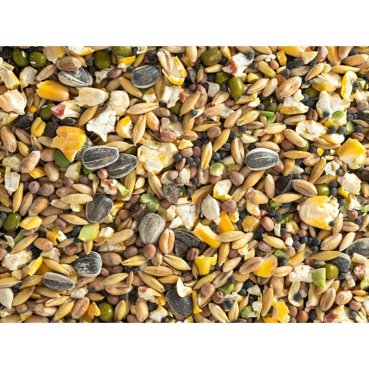 Topflite Soak & Sprout