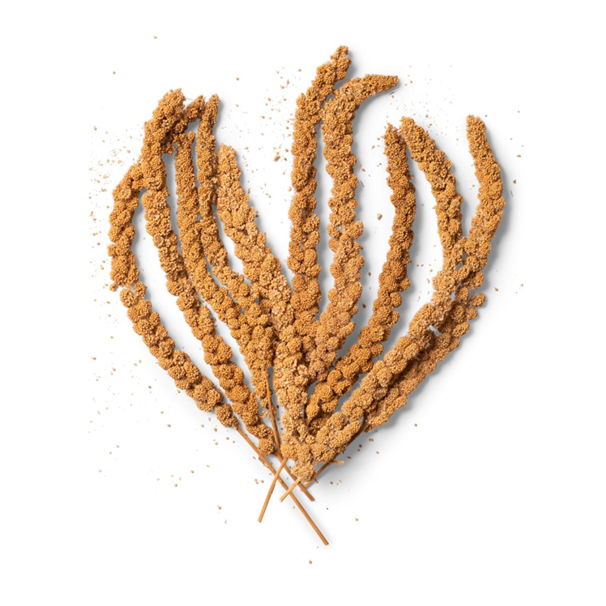 Topflite Millet Spray