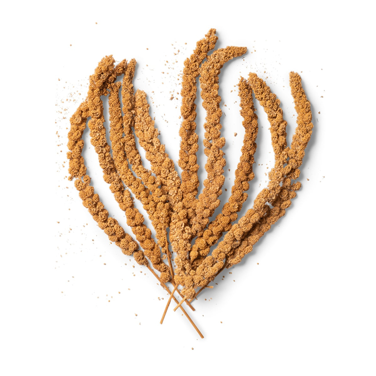 Topflite Millet Spray