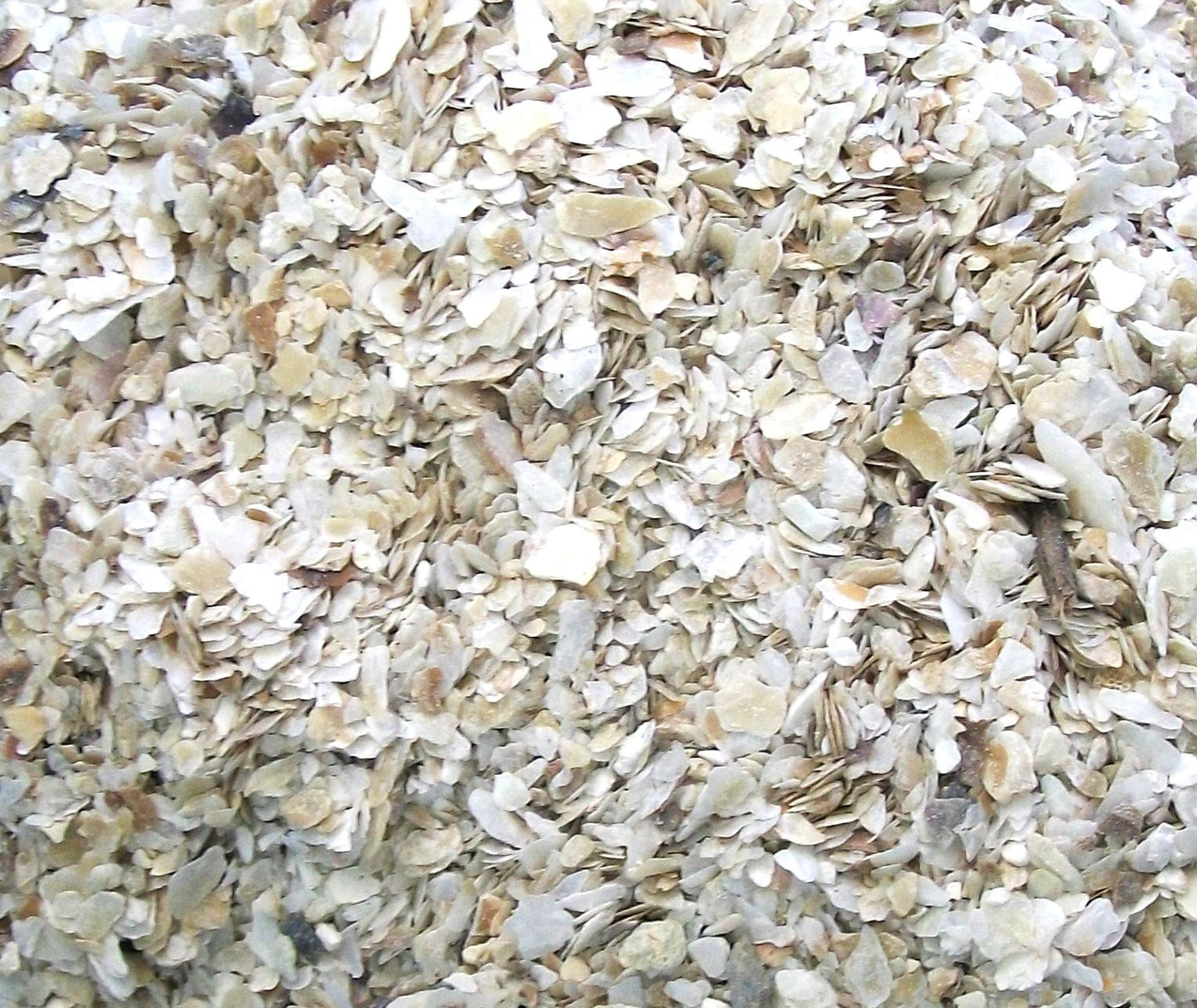 Topflite Osyeter Shell Fine Grit