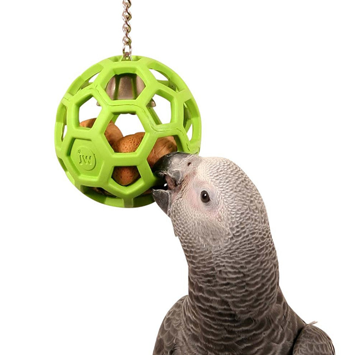 JW Insight Hol-ee Roller Bird Toy