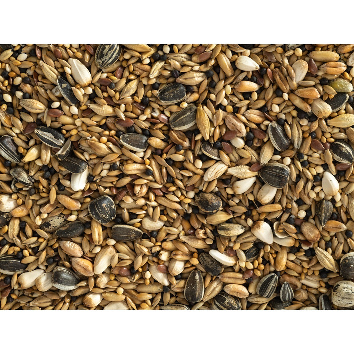 Topflite Aviary Mix