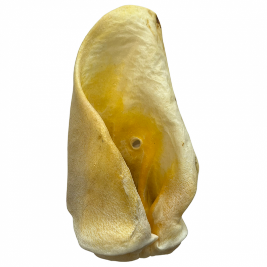 Beef Ear