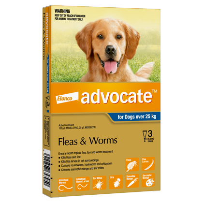 Advocate Spot-On Flea Treatment Large Dog 25kg+