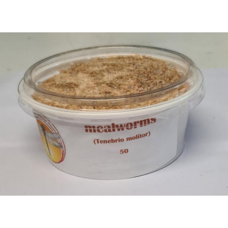 Bio Suppliers Live Meal Worms
