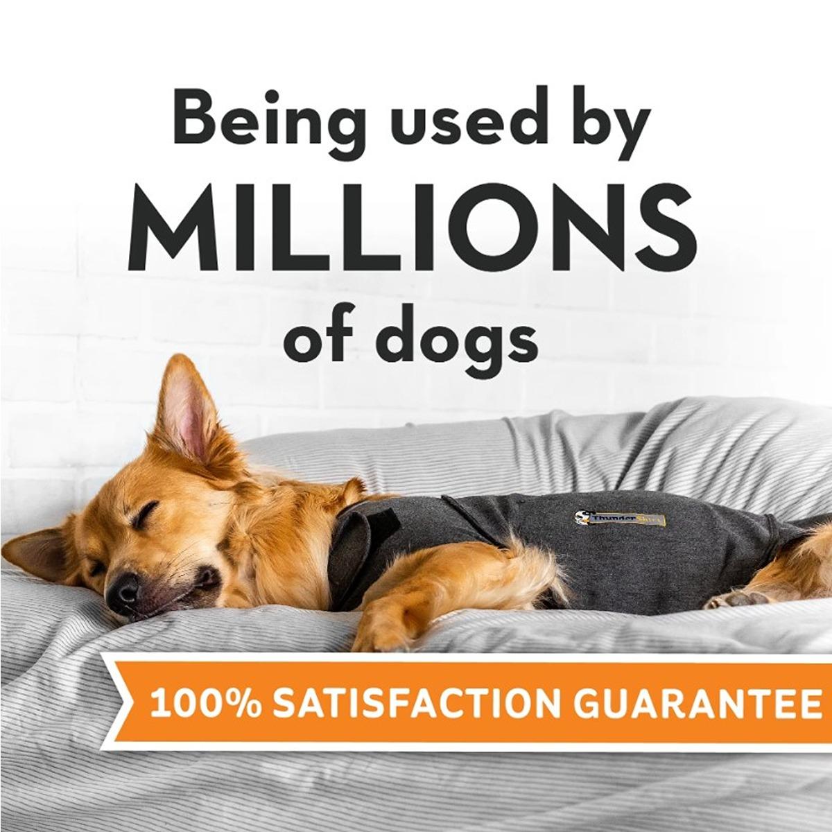 Thundershirt Calming Shirt for Dogs