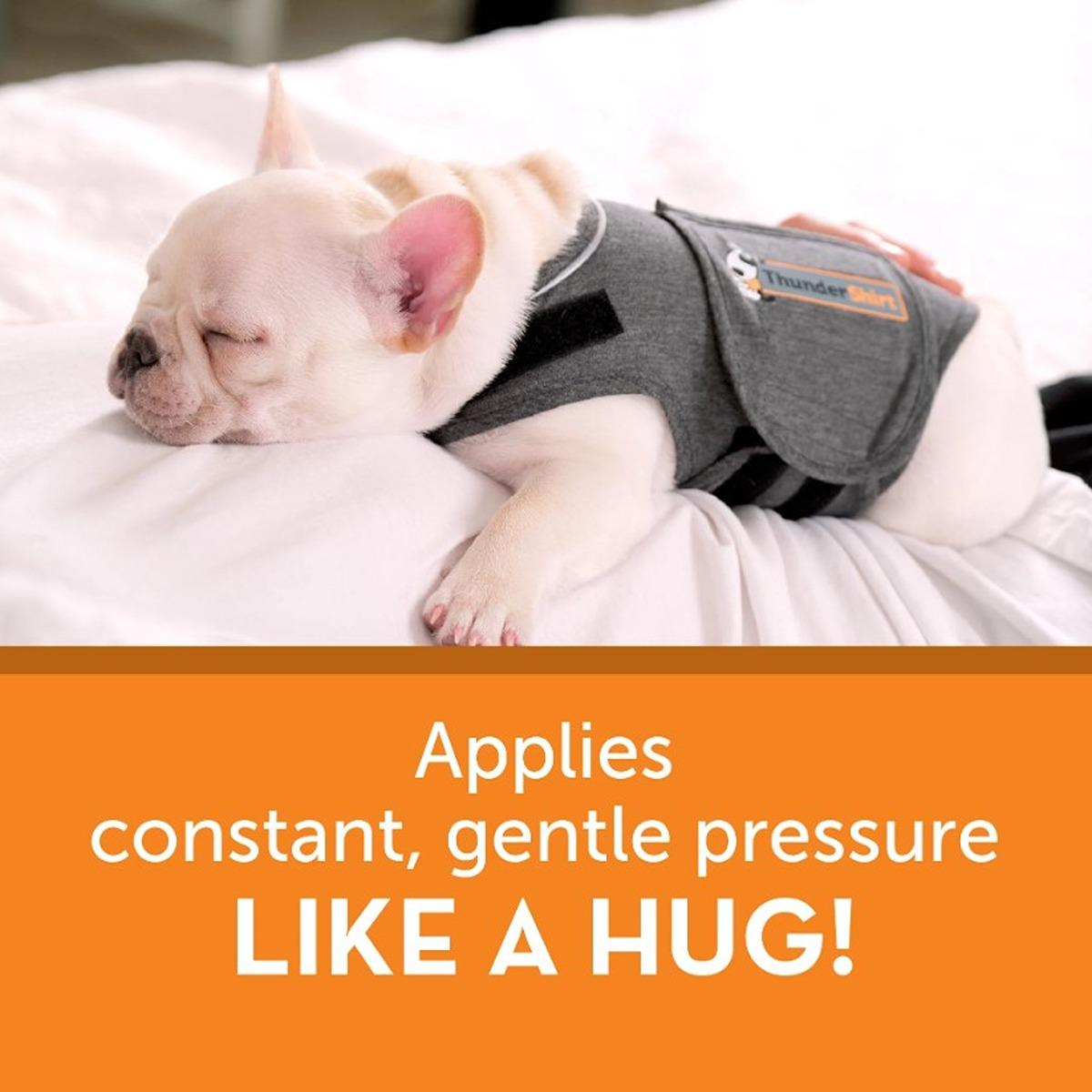 Thundershirt Calming Shirt for Dogs