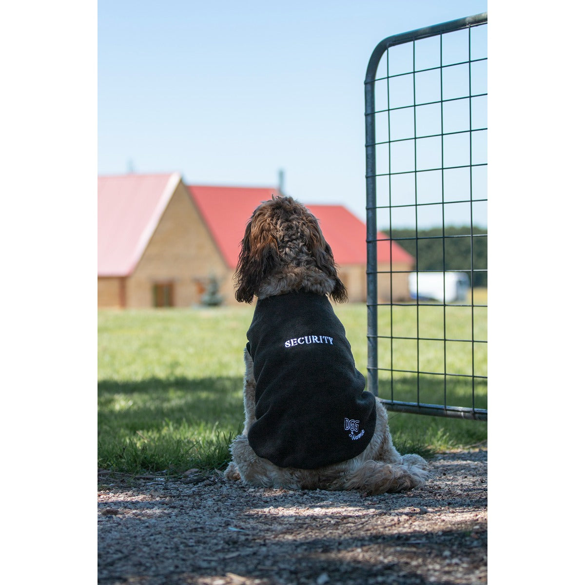 DGG Designer Warmie Dog Jumper Security