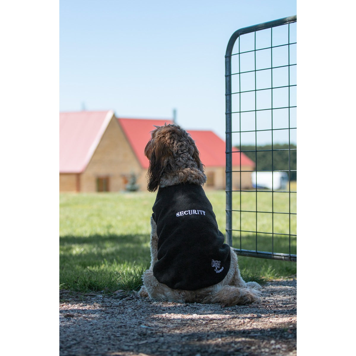 DGG Designer Warmie Dog Jumper Security
