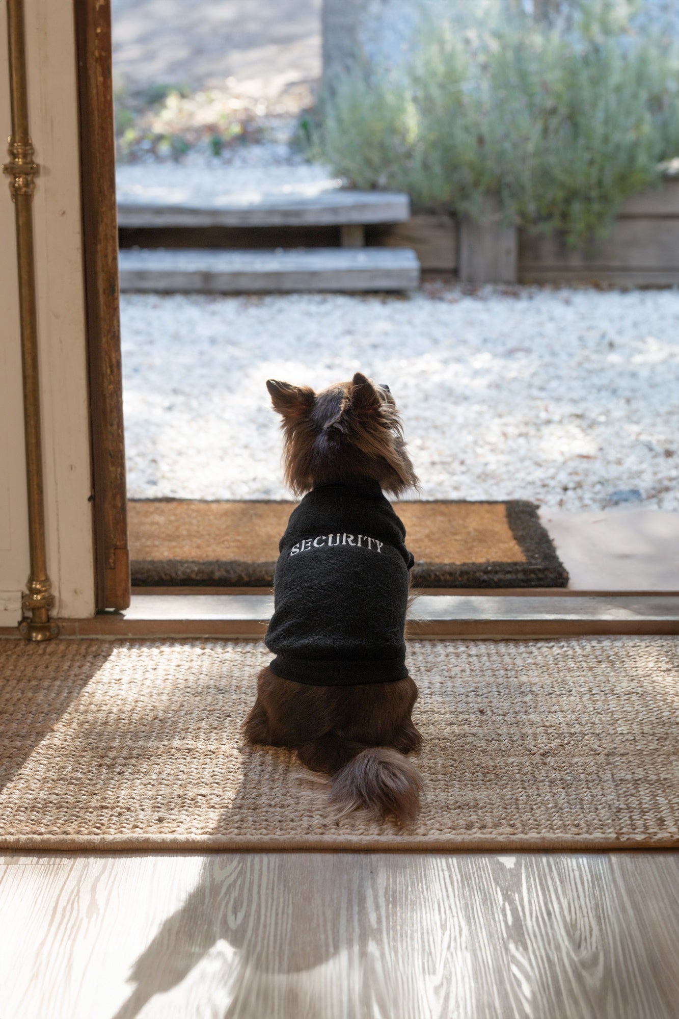 DGG Designer Warmie Dog Jumper Security