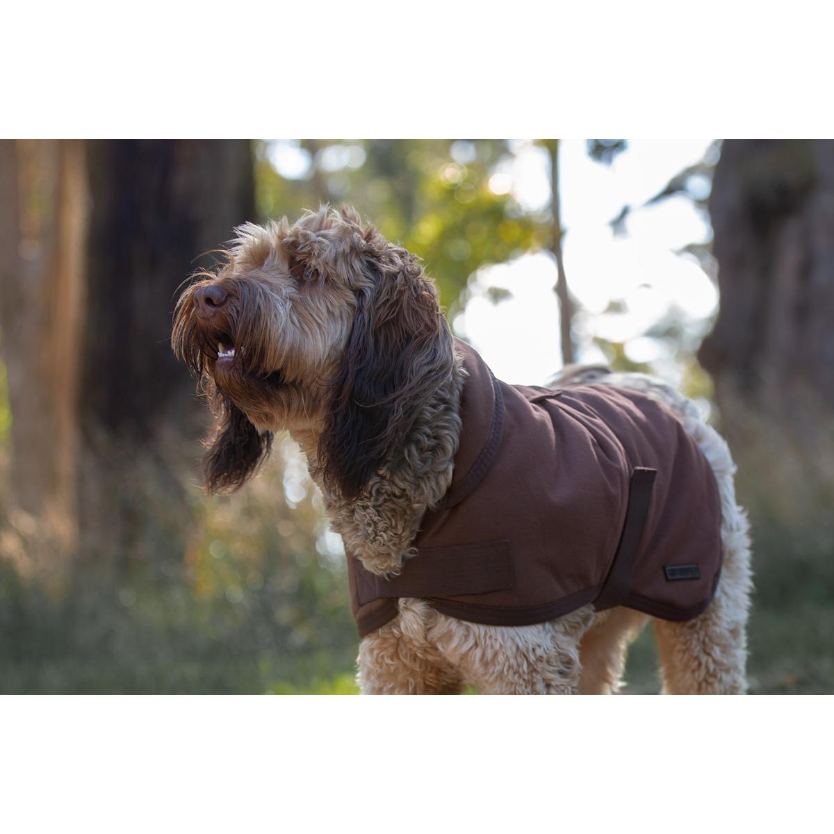 Ruff n' Rugged Canvas Coat