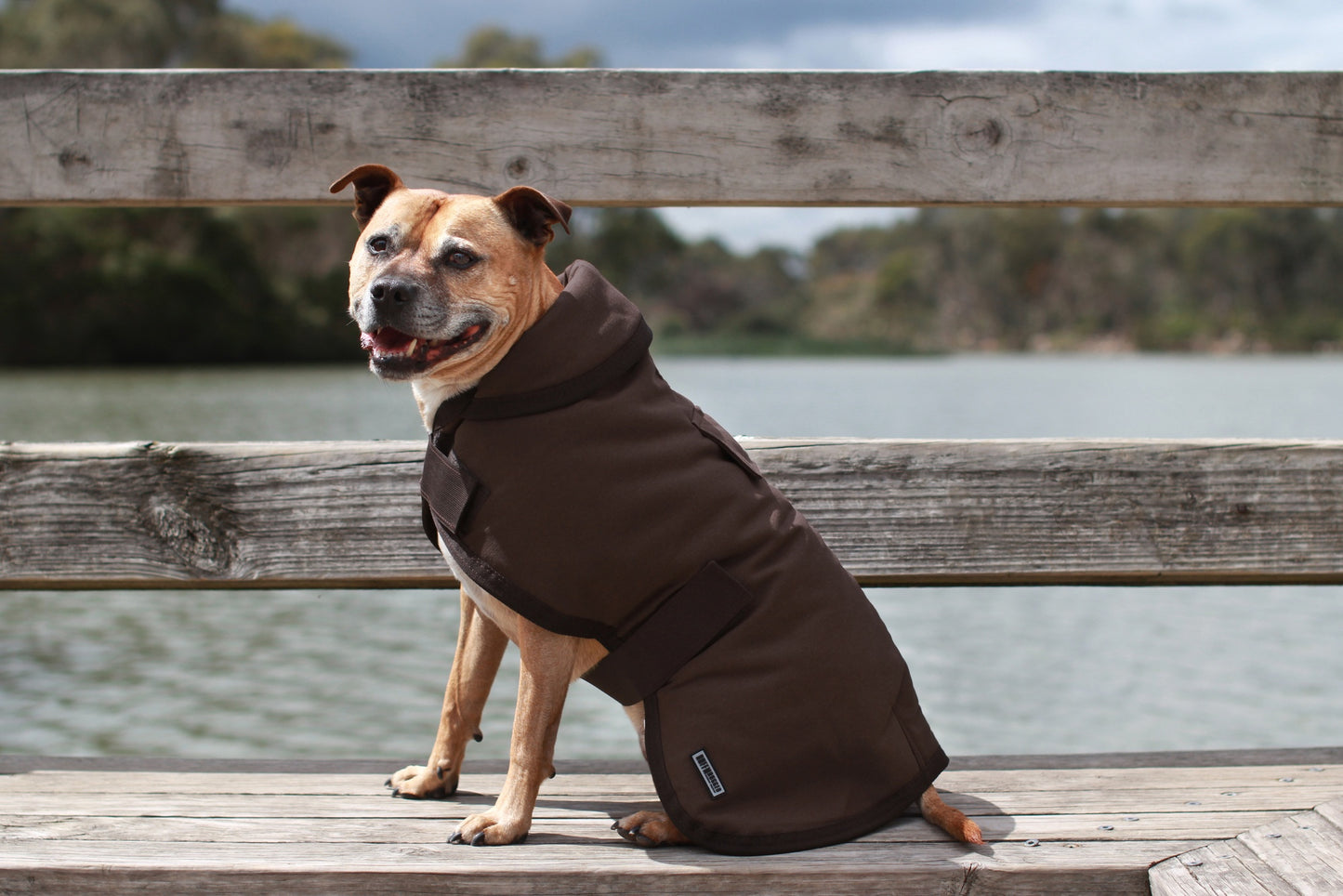 Ruff n Rugged Canvas Dog Coat Brown