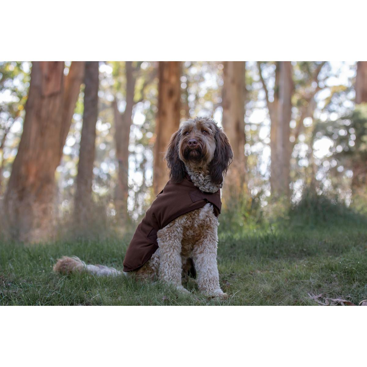 Ruff n' Rugged Canvas Coat