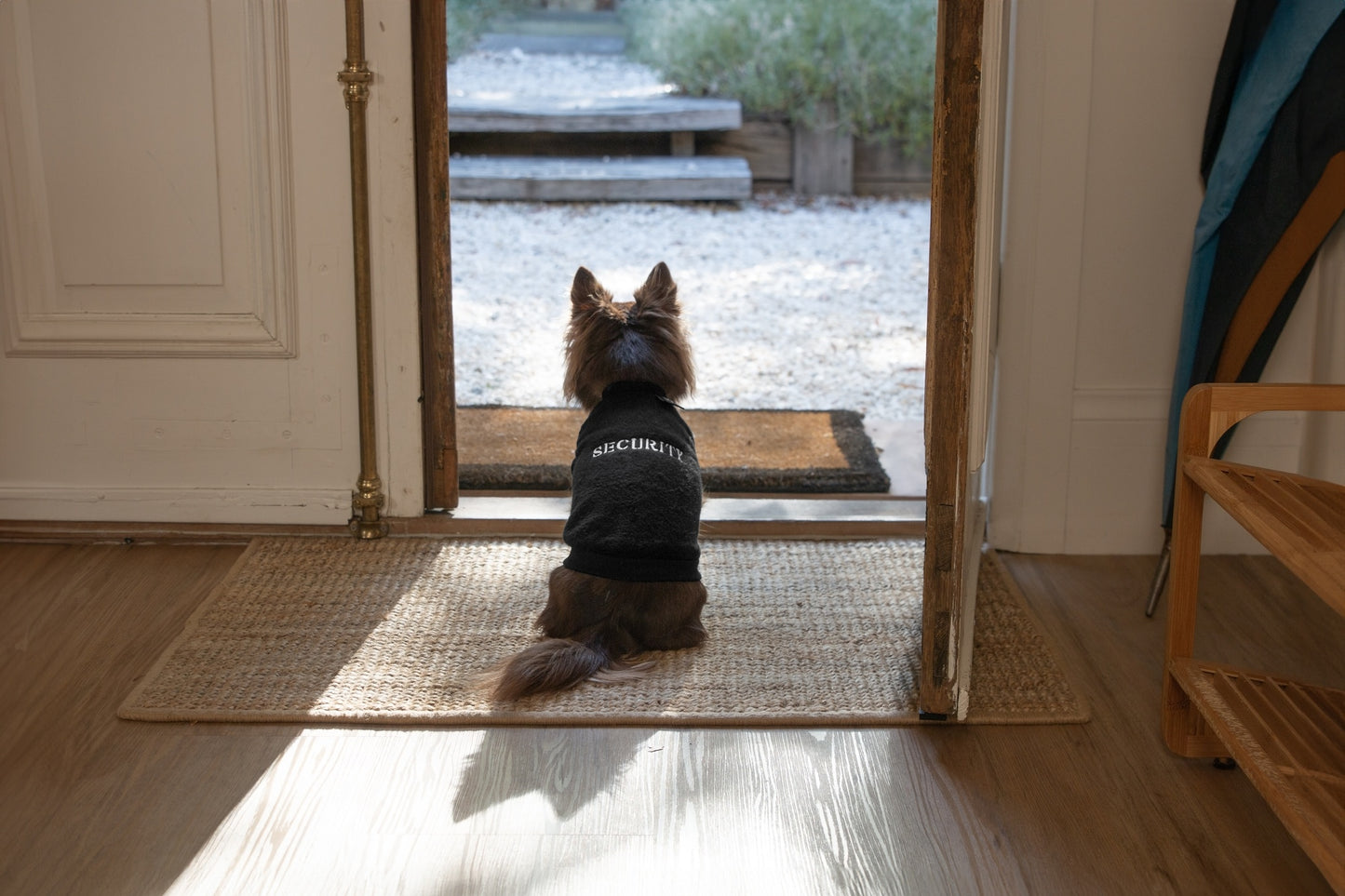 DGG Designer Warmie Dog Jumper Security