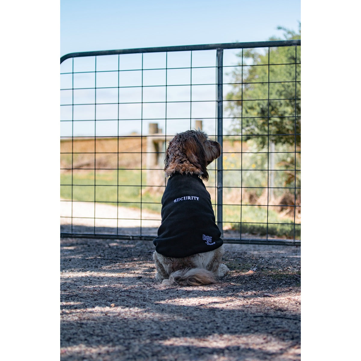 DGG Designer Warmie Dog Jumper Security