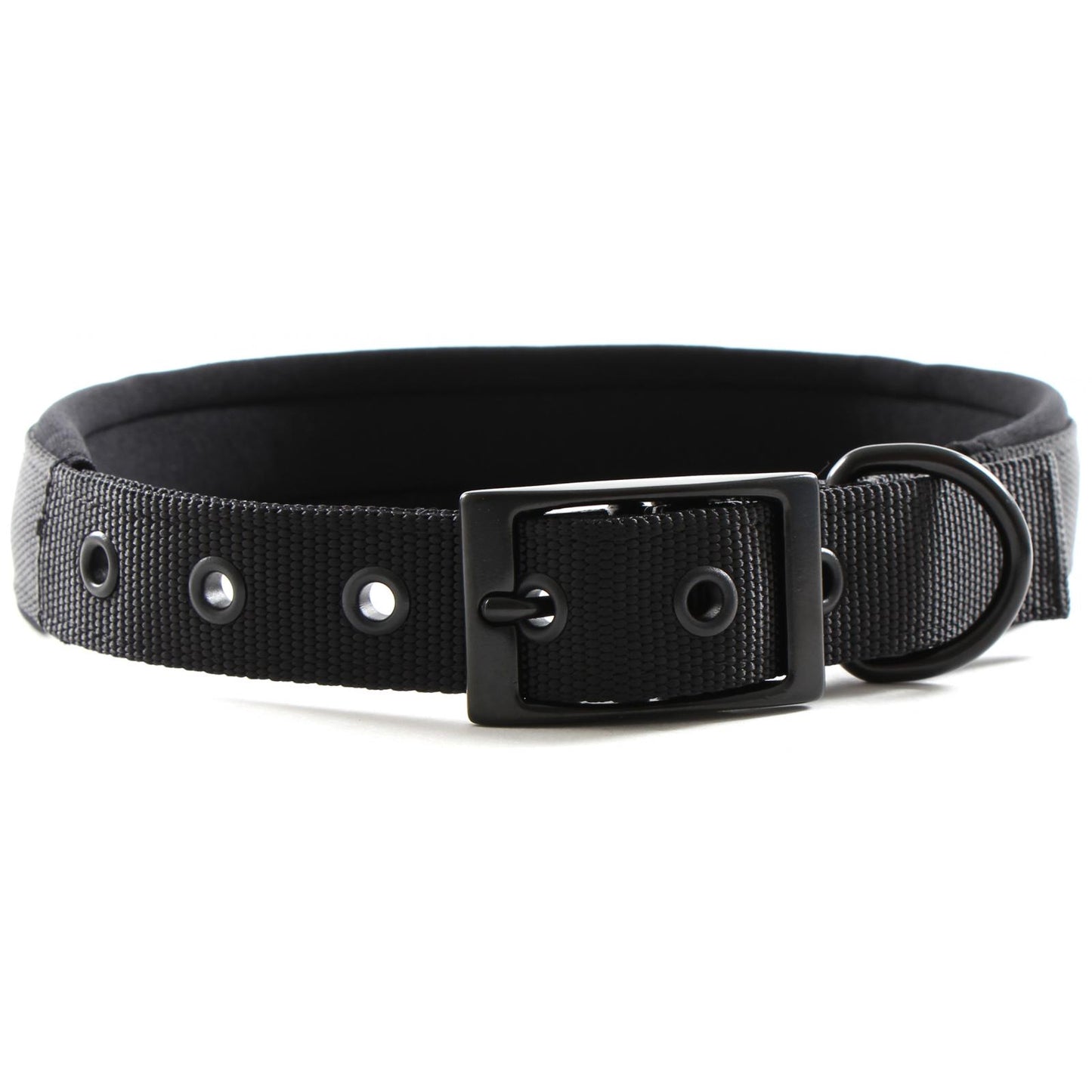 Yours Droolly Foam Dog Collar