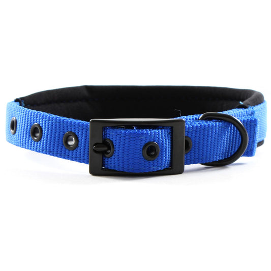 Yours Droolly Foam Dog Collar