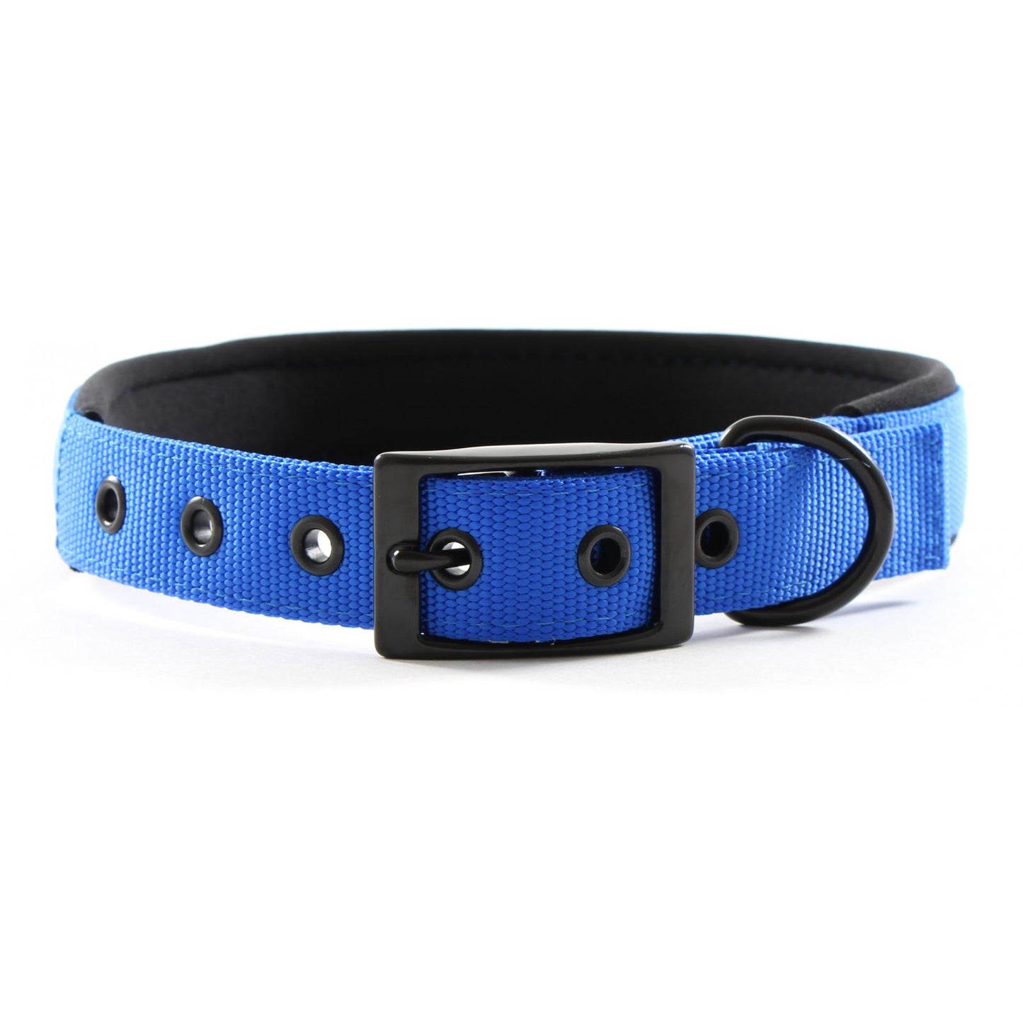 Yours Droolly Foam Dog Collar