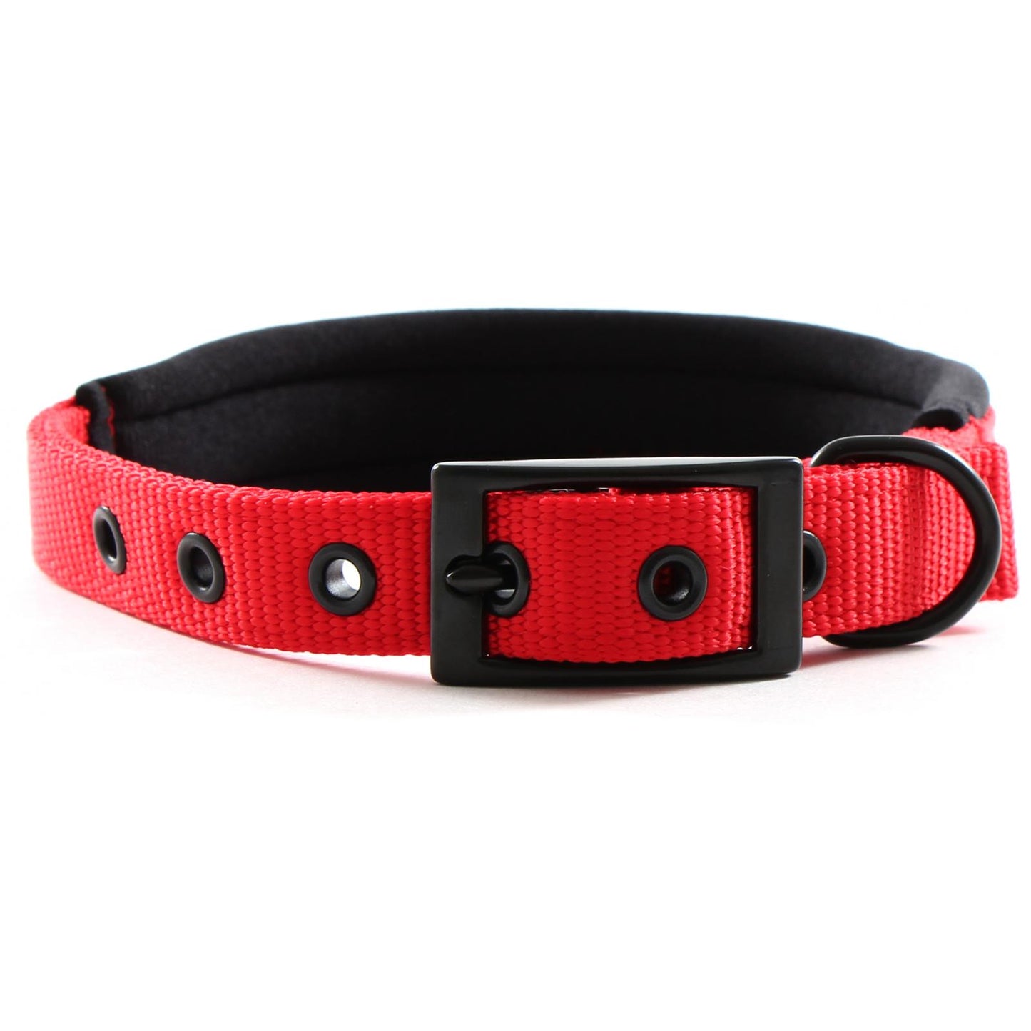 Yours Droolly Foam Dog Collar