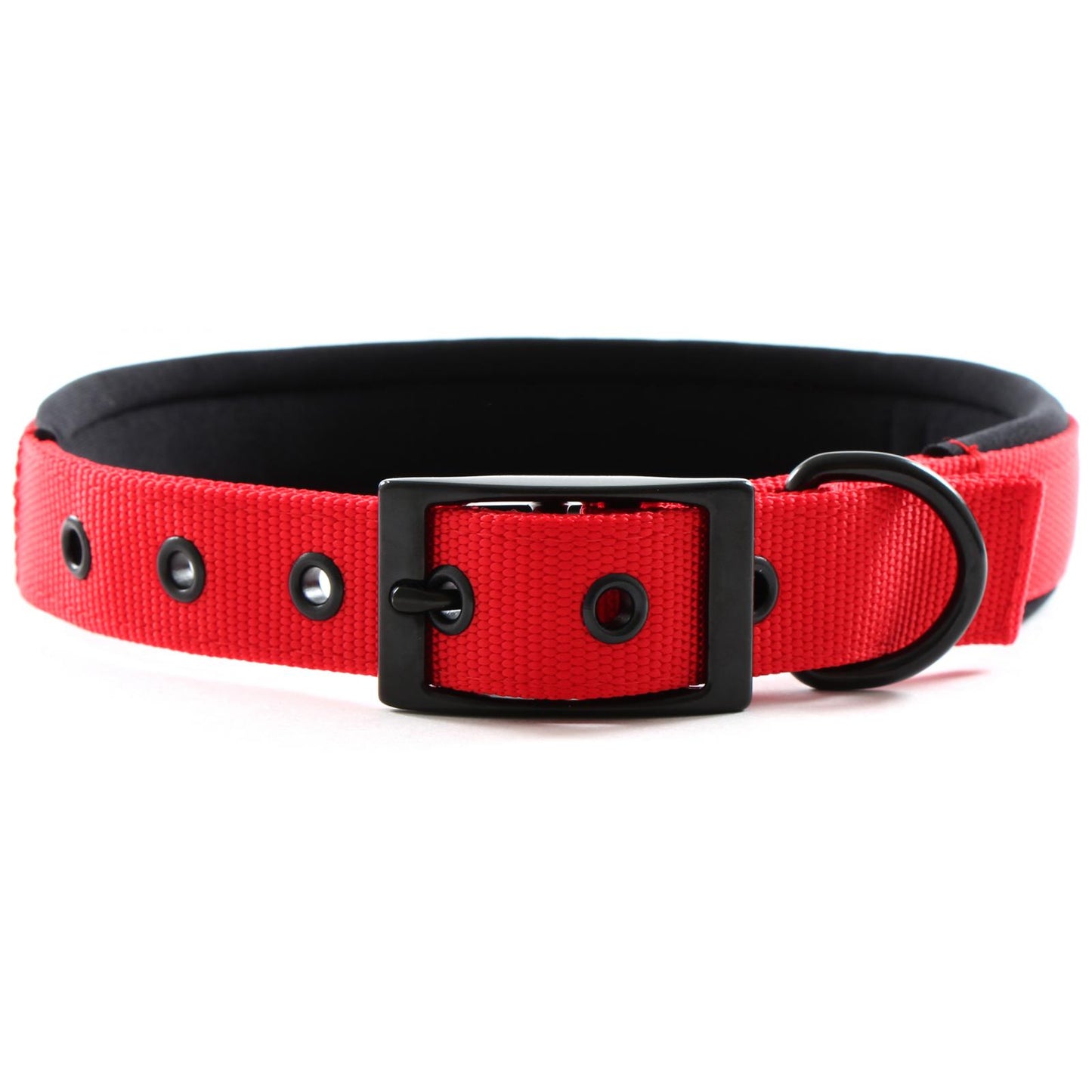 Yours Droolly Foam Dog Collar