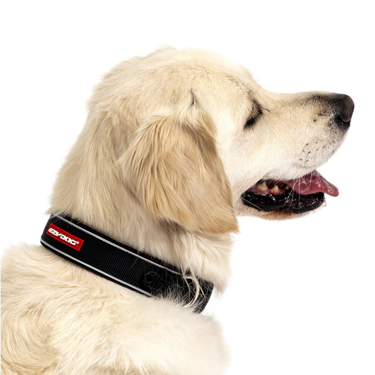 Ezydog Neo Classic Dog Collar