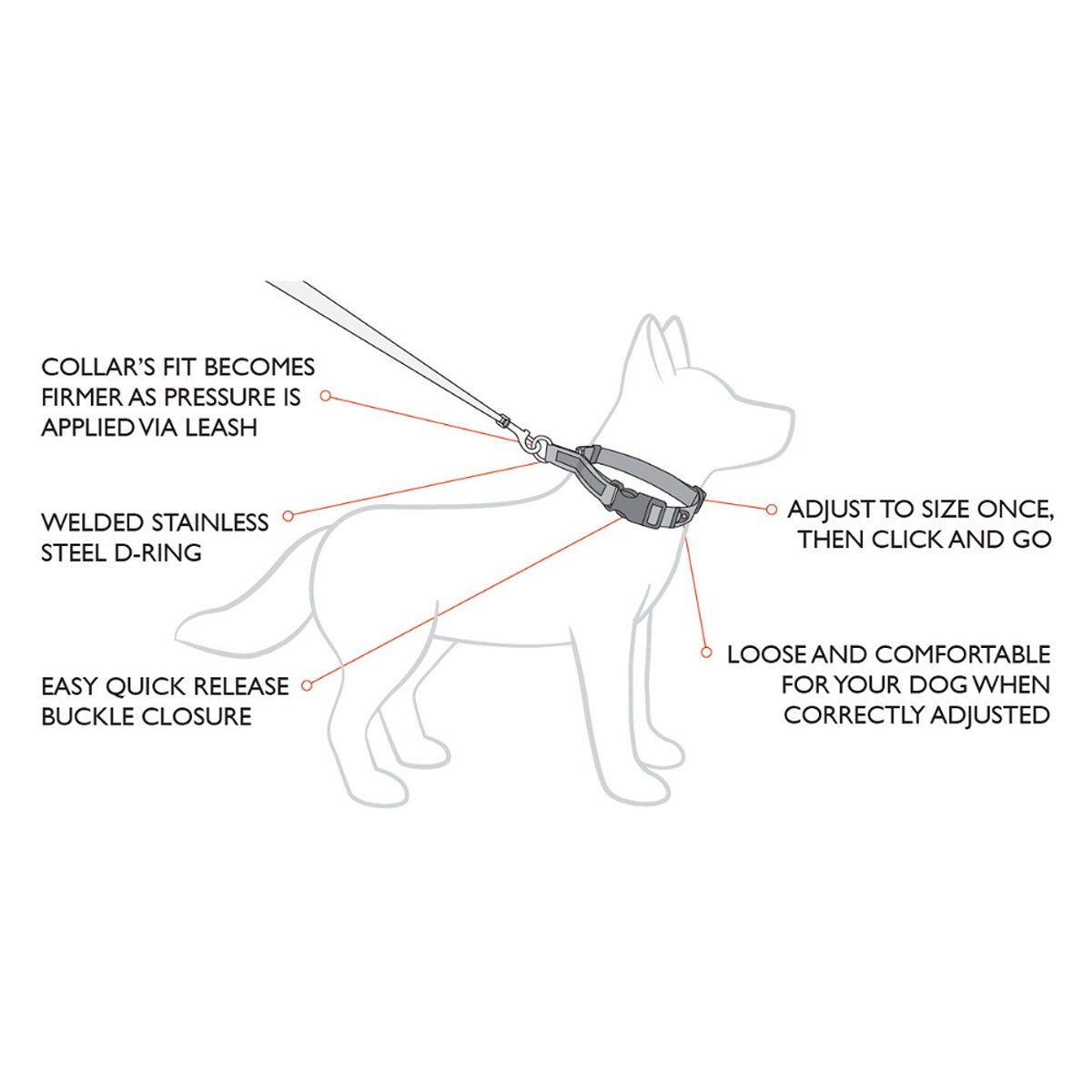 EzyDog Checkmate Collar