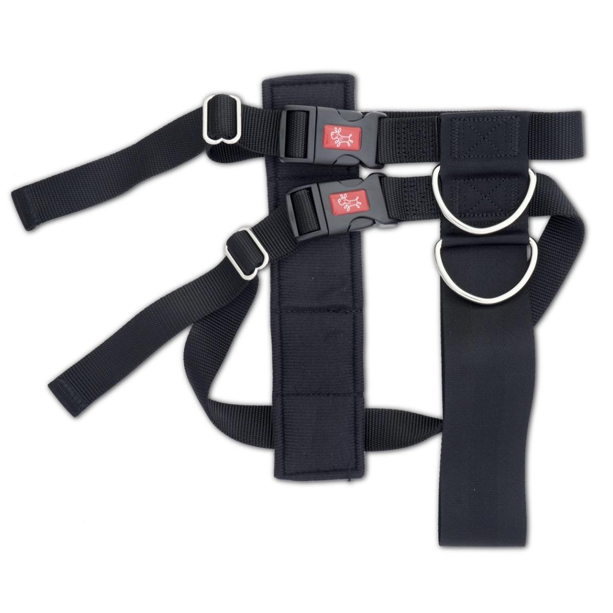 Yours Droolly 2 in 1 Car Harness