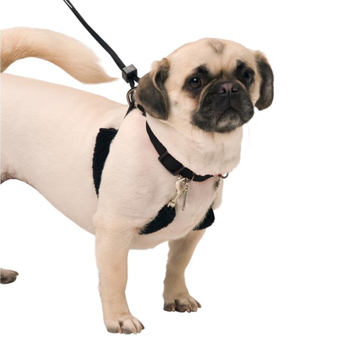 Sporn Training Halter Harness