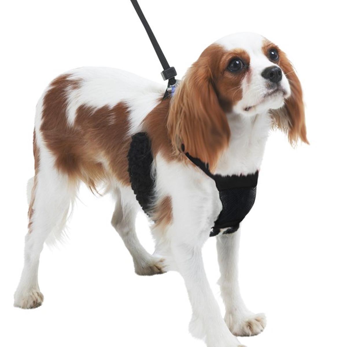 Sporn Stop Pulling Mesh Harness