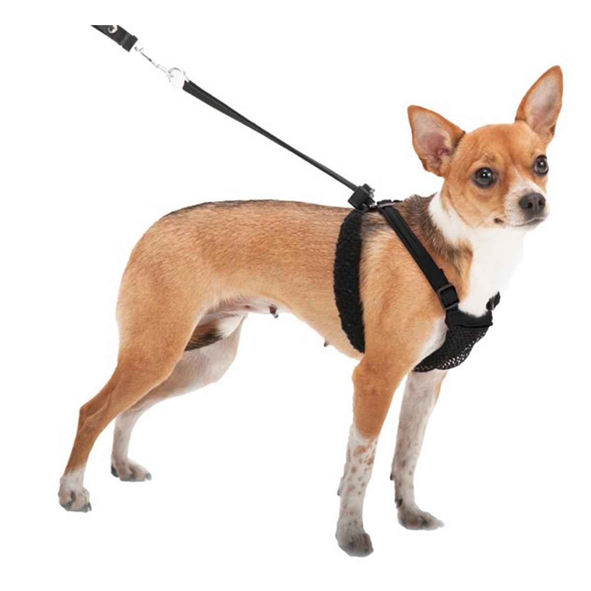 Sporn Stop Pulling Mesh Harness