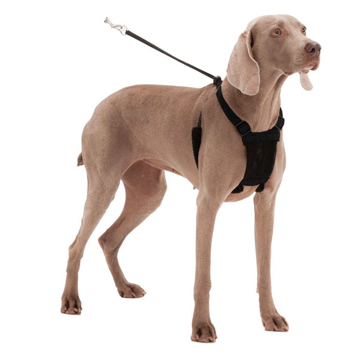 Sporn Stop Pulling Mesh Harness