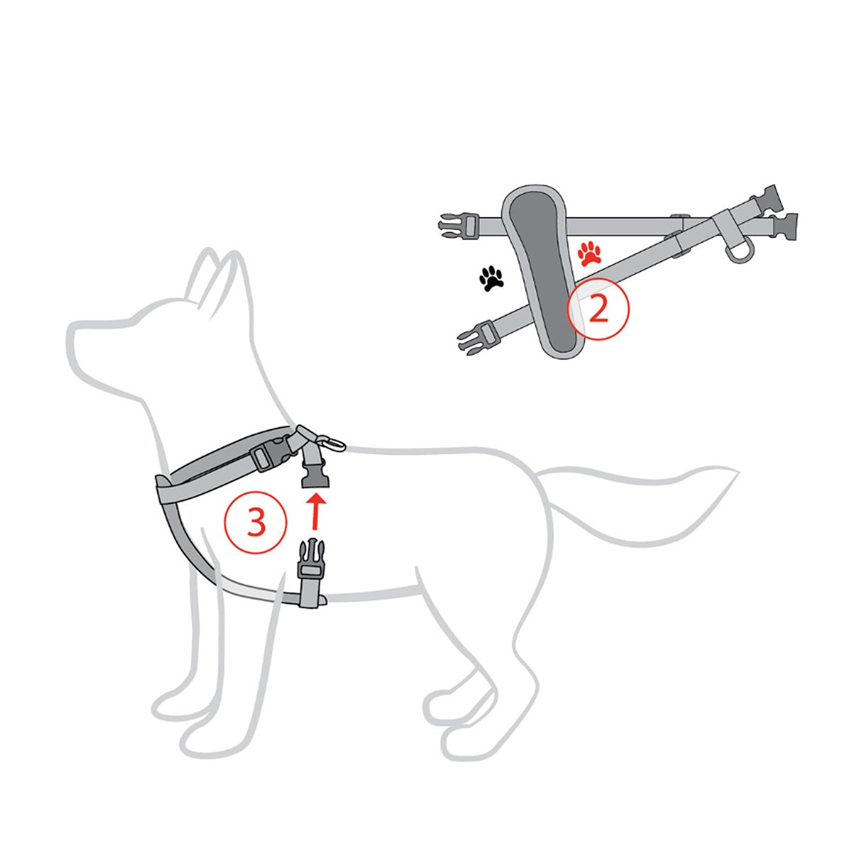 EzyDog Chest Plate Harness