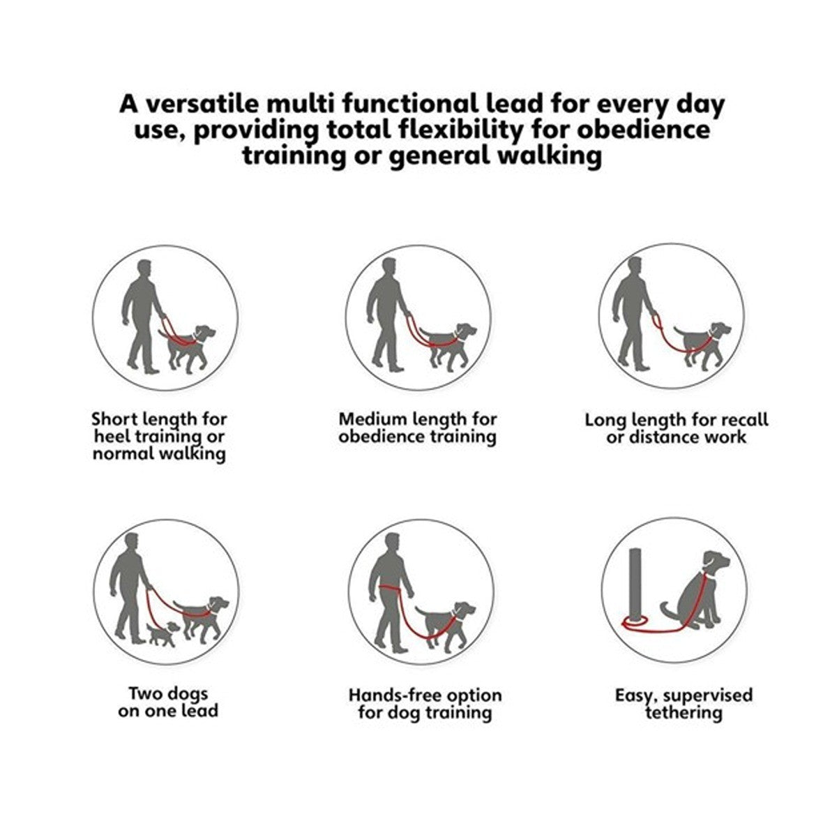 Halti Training Lead