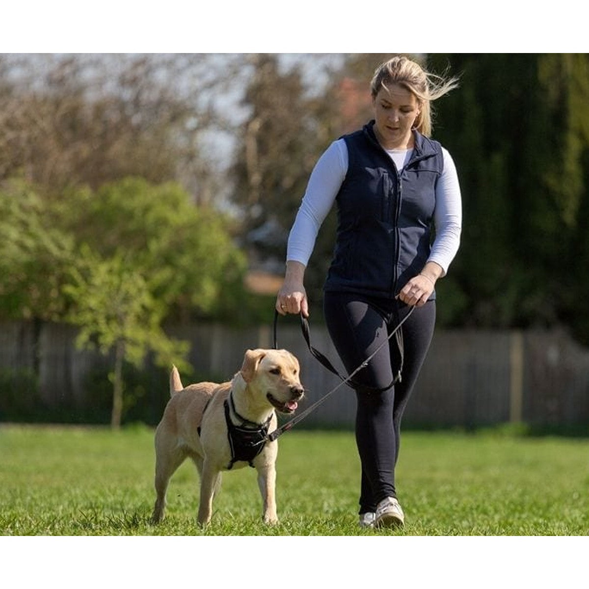 Halti Training Lead