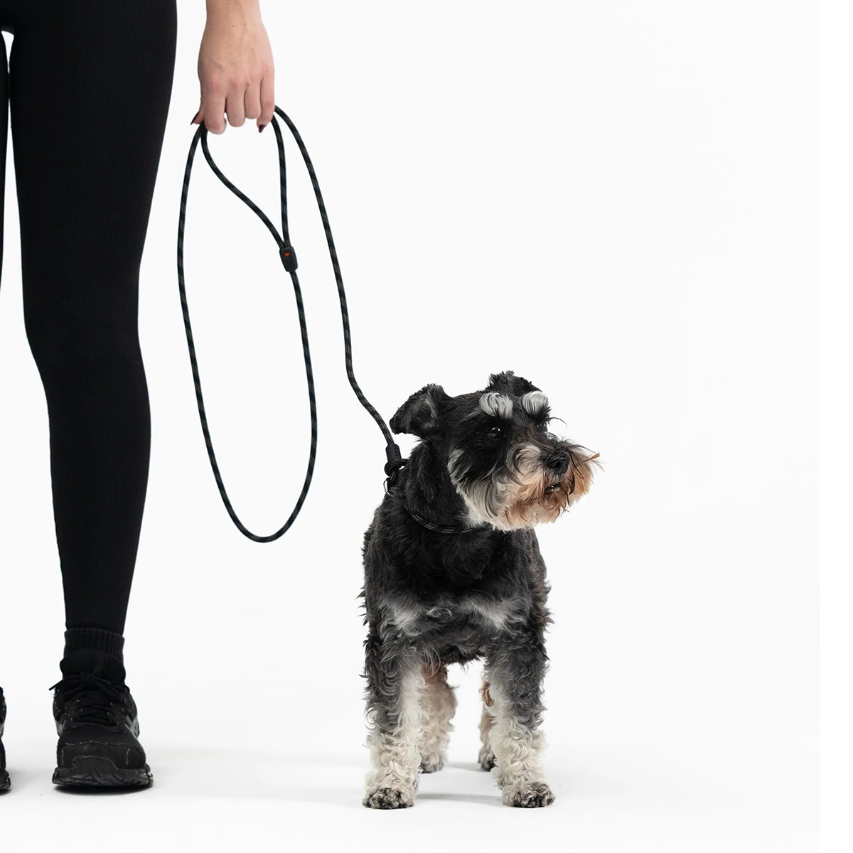 EzyDog Luca Lite Leash