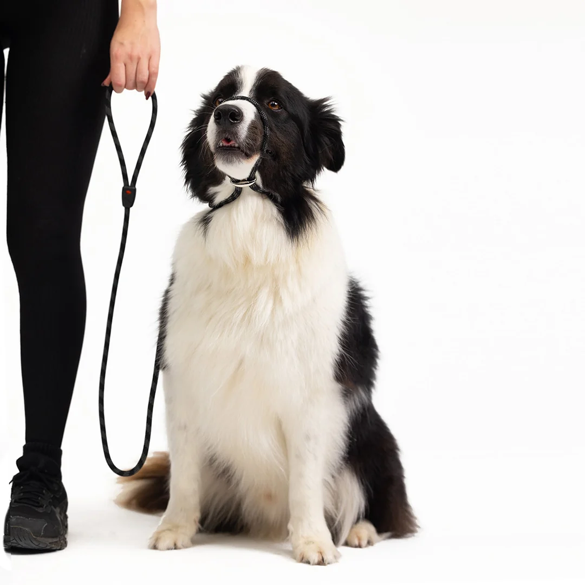 EzyDog Luca Lite Leash