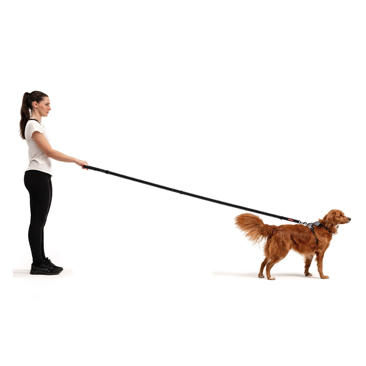 EzyDog Vario 6 Multifunctional Dog Lead