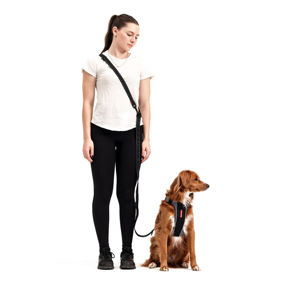 EzyDog Vario 6 Multifunctional Dog Lead