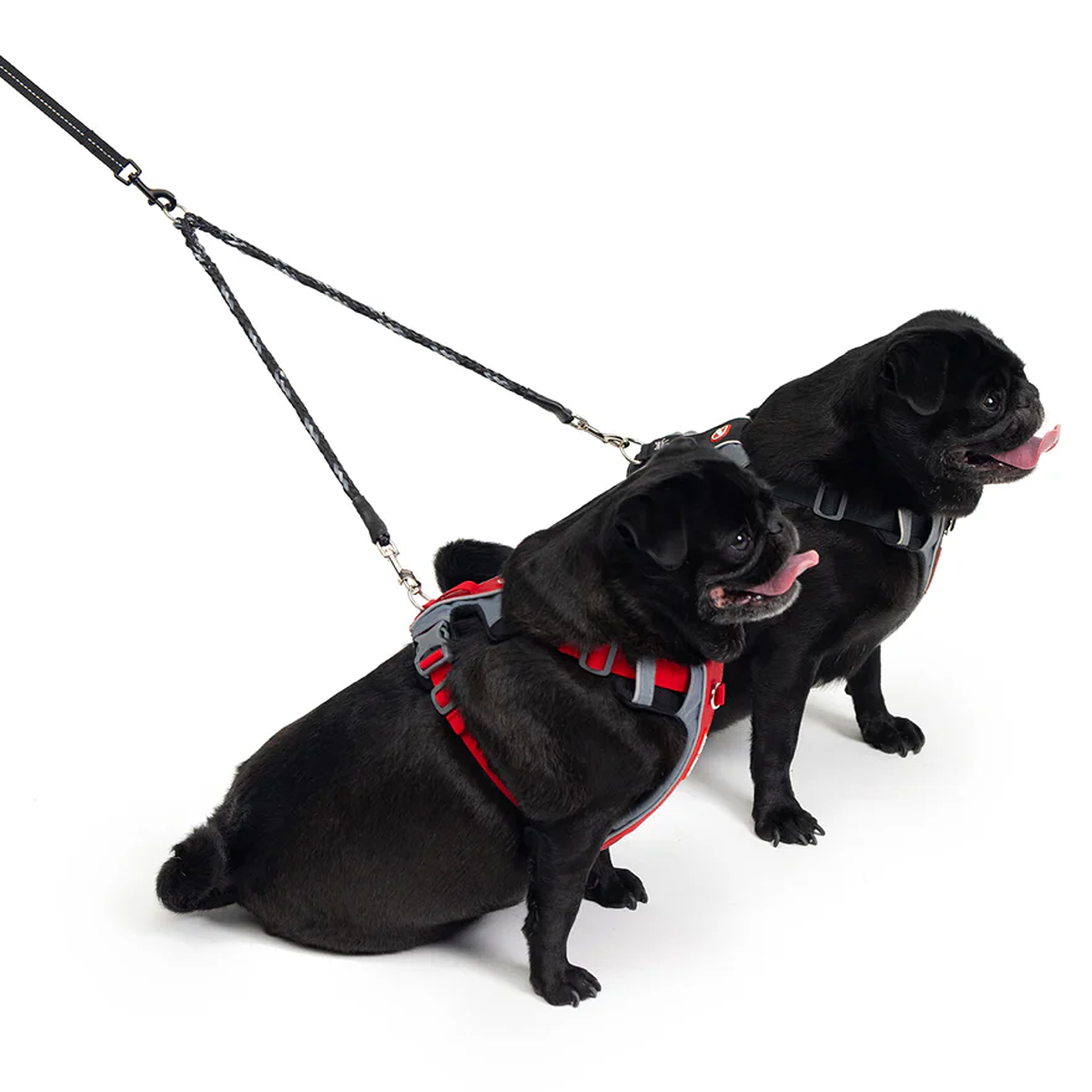 Ezydog Cujo Coupler Dog Lead