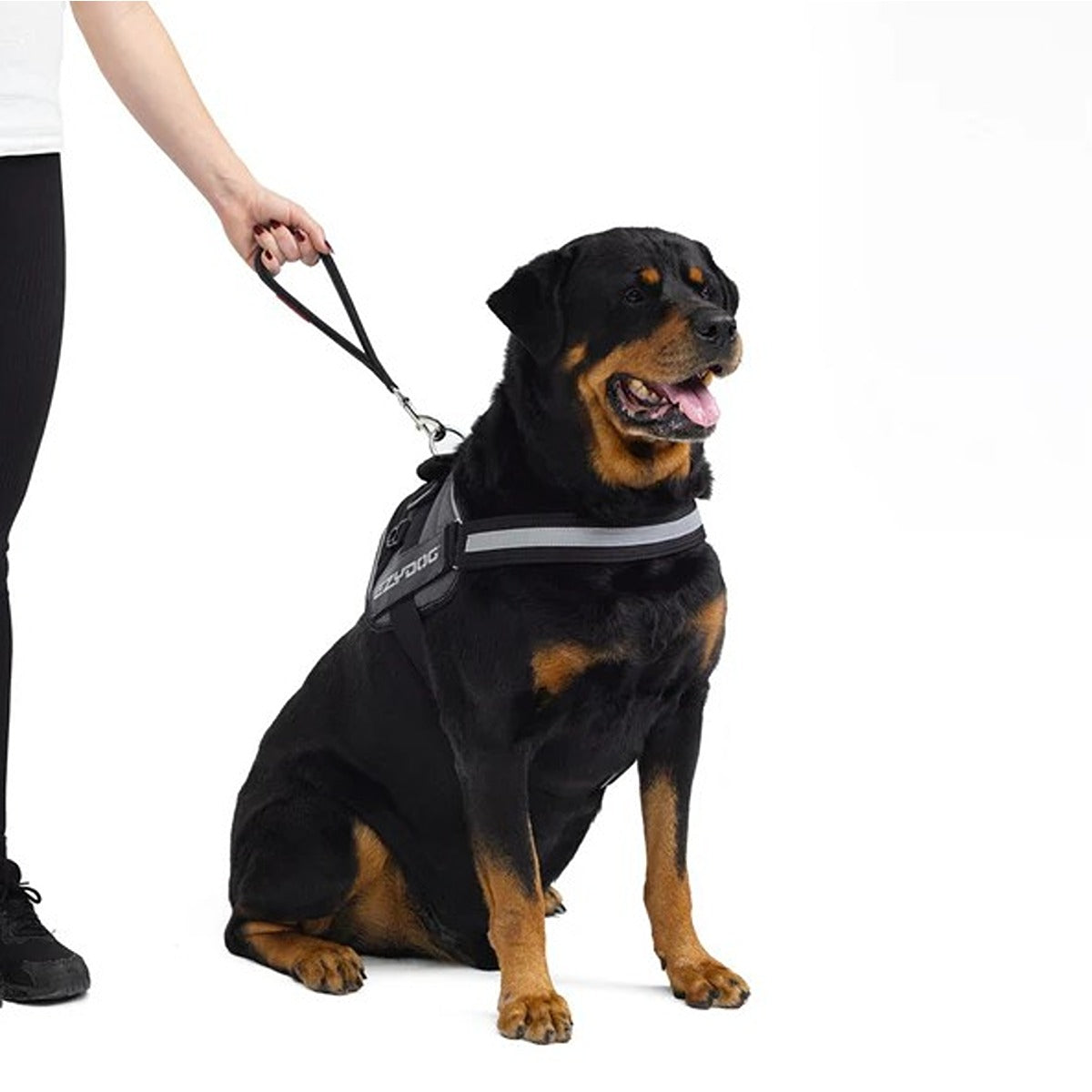 EzyDog Mongrel NEO Lead