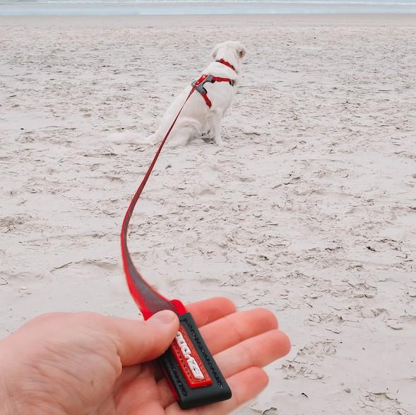 EzyDog Track N Train Leash