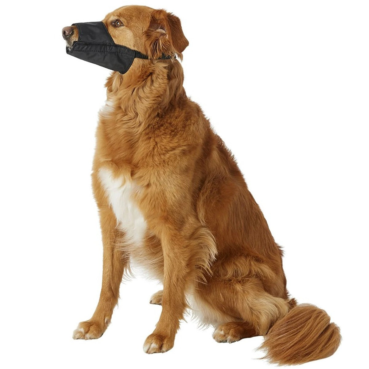 Dogit Nylon Muzzle