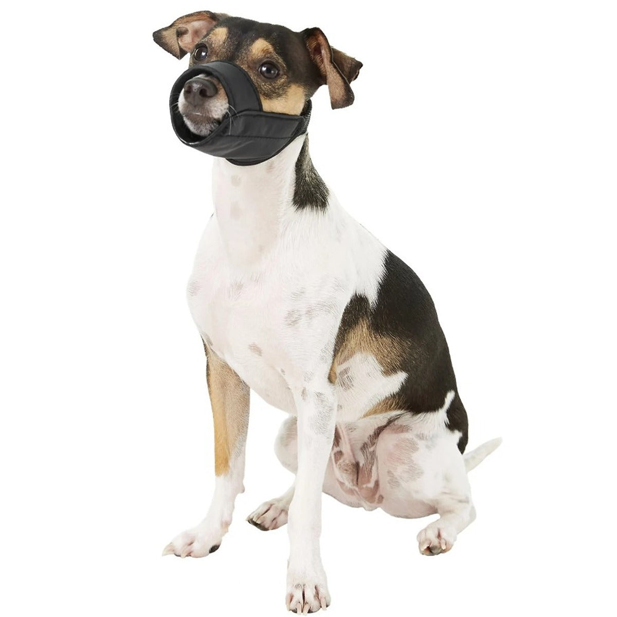 Dogit Nylon Muzzle