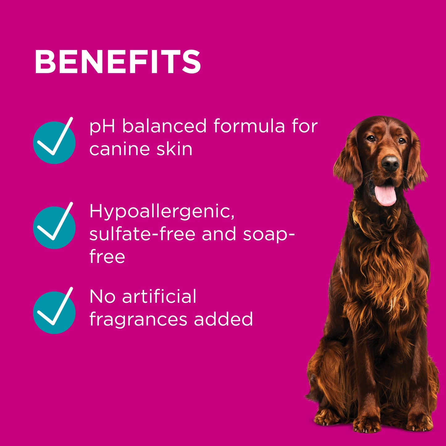 PAW Sensitive Skin Shampoo