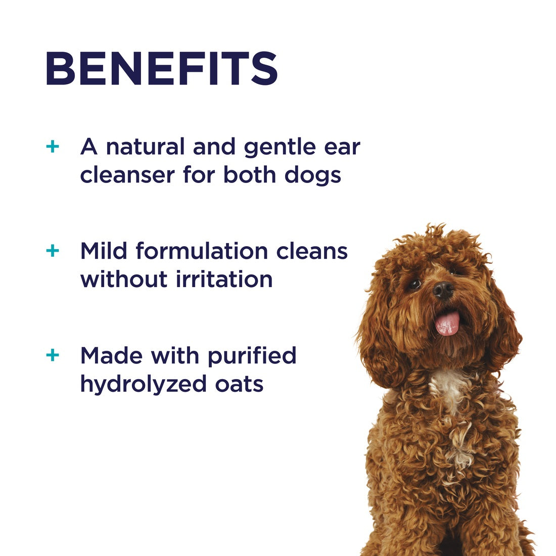 PAW Gentle Ear Cleaner