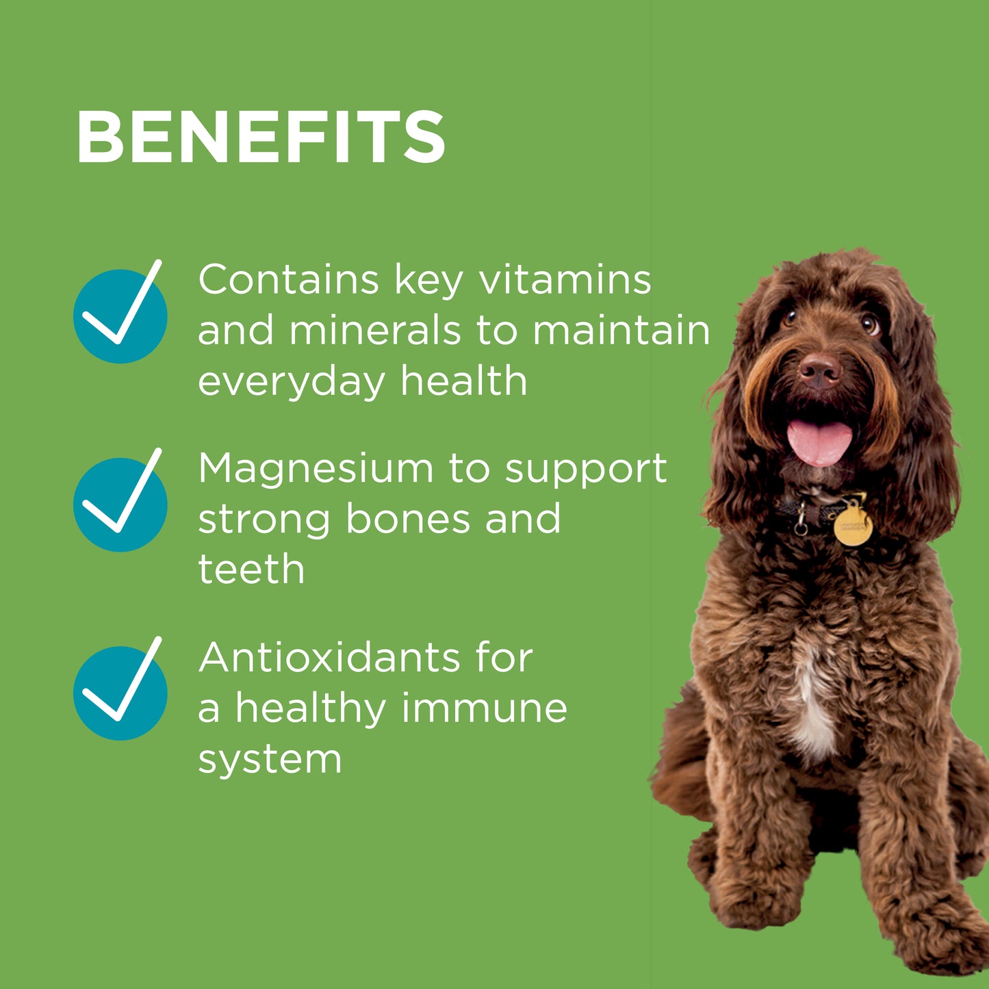 PAW Wellness + Vitality Chews for Dogs