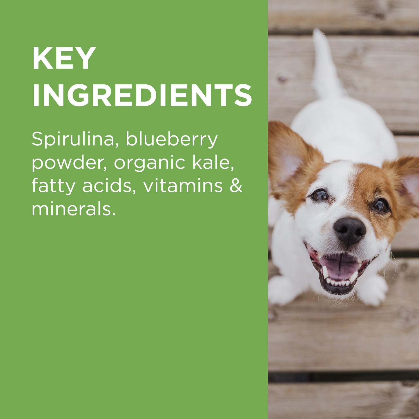 PAW Wellness + Vitality Chews for Dogs