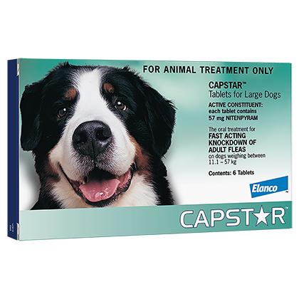 Capstar Flea Treatment for Dogs & Cats